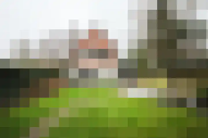 Constantijn Huygenslaan 33 Zeist thumbnail 20