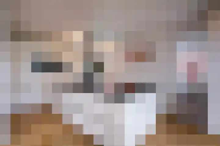 Constantijn Huygenslaan 33 Zeist thumbnail 7