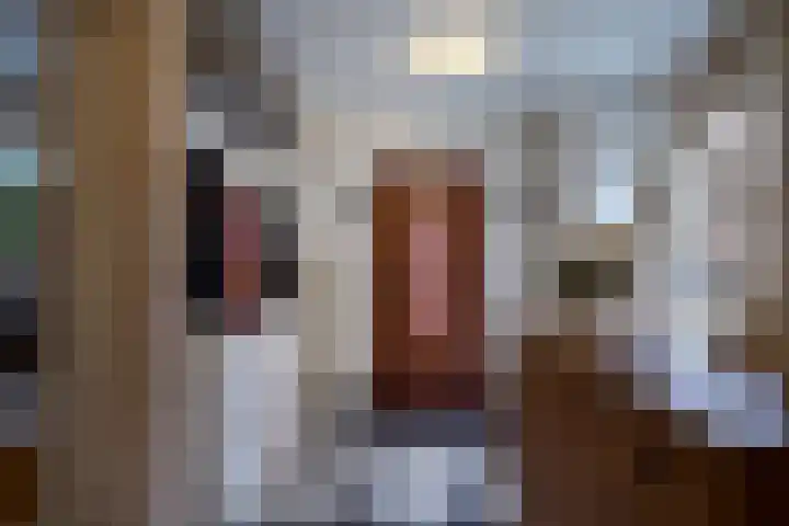 Constantijn Huygenslaan 33 Zeist thumbnail 8