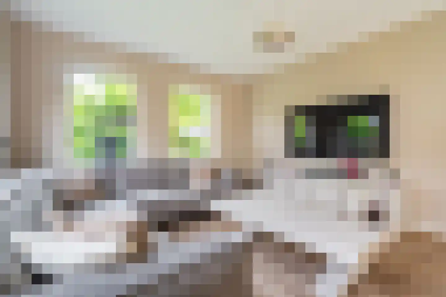 Constantijn Huygenslaan 38 Winschoten thumbnail 10