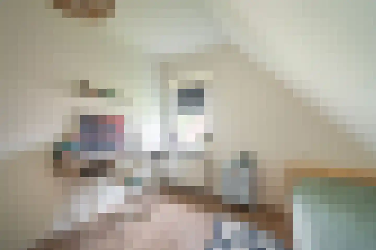 Constantijn Huygenslaan 38 Winschoten thumbnail 31