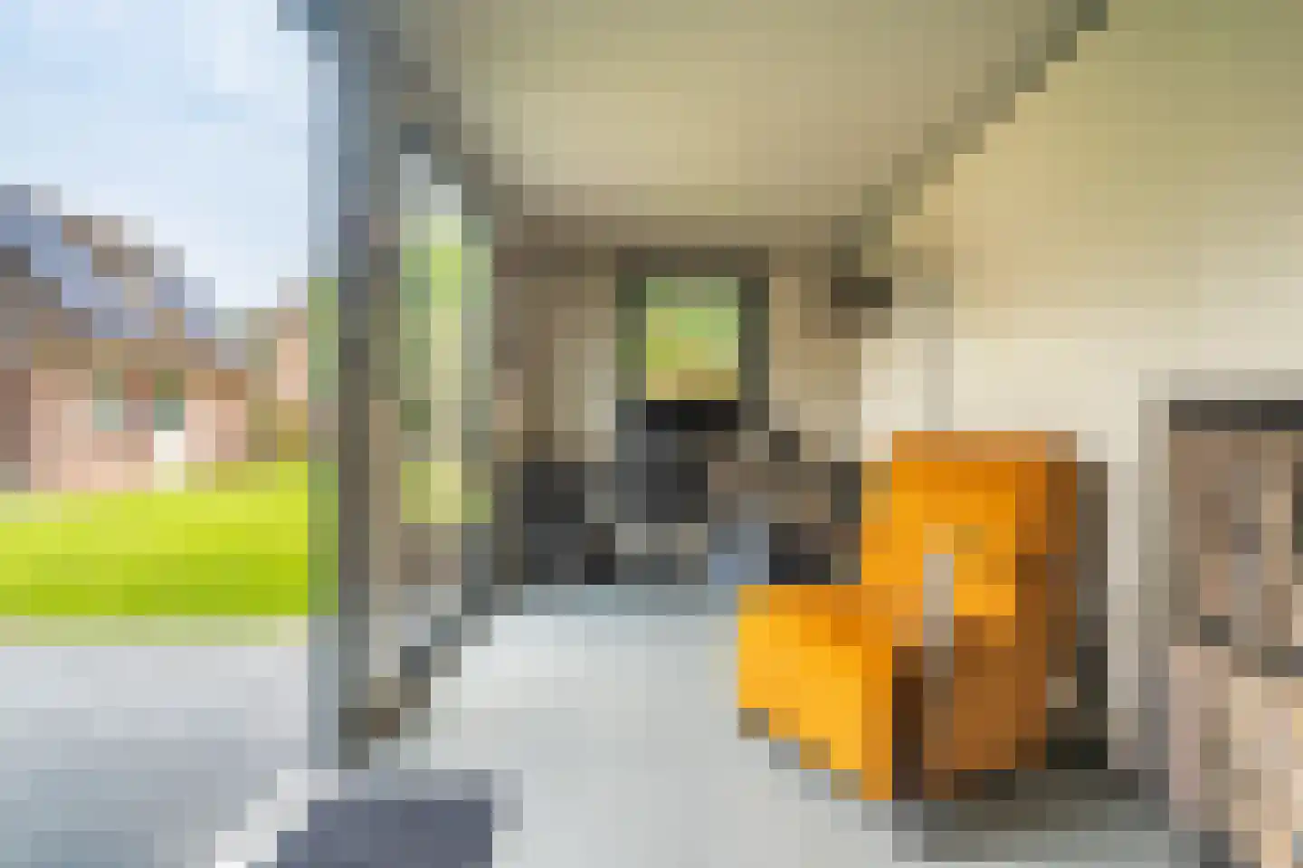 Constantijn Huygenslaan 38 Winschoten thumbnail 41
