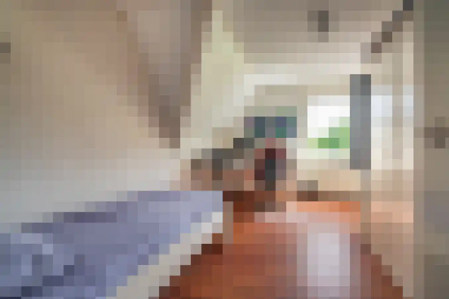 Constantijn Huygenslaan 60 Winschoten thumbnail 38