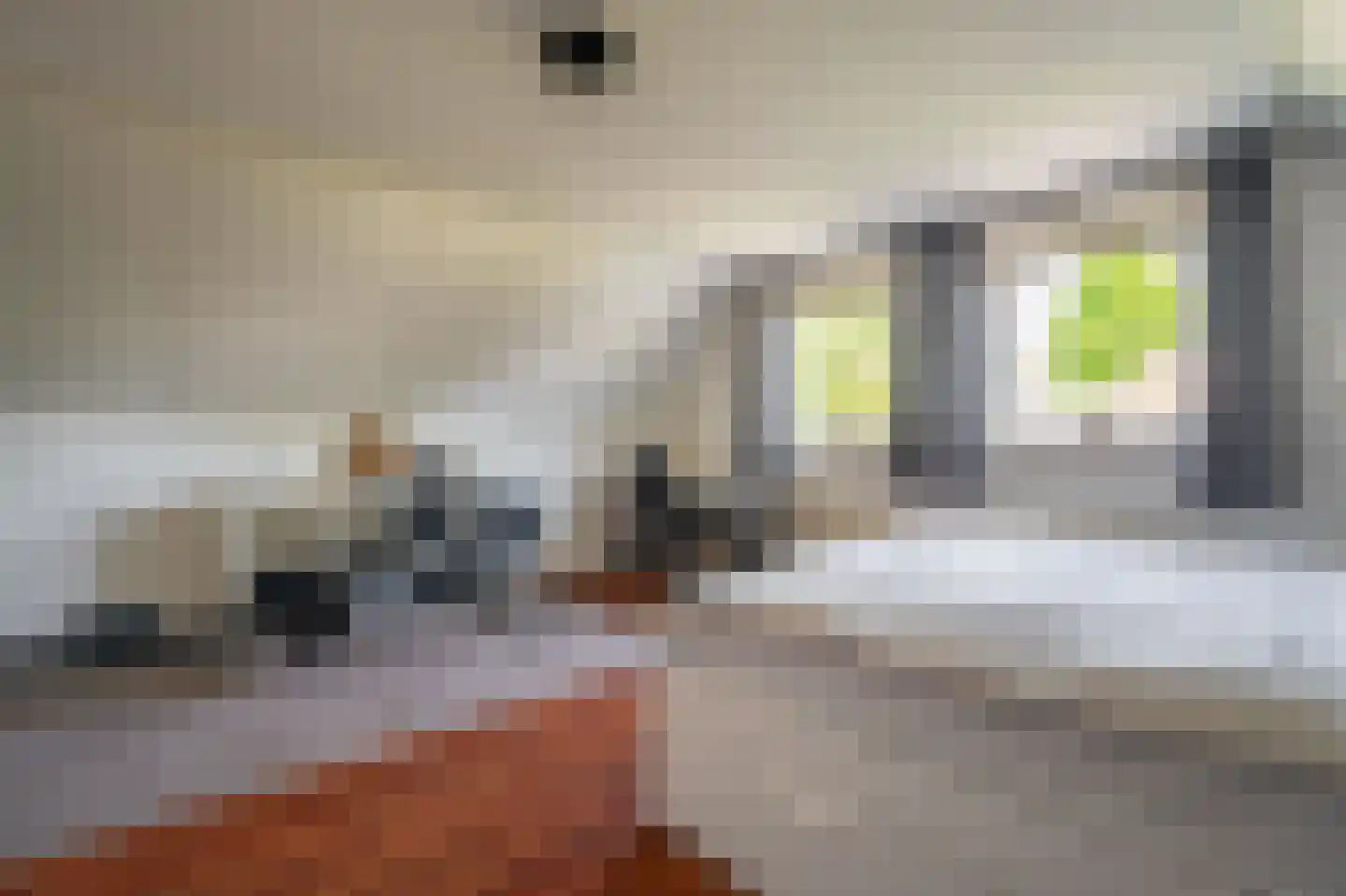 Constantijn Huygenslaan 60 Winschoten thumbnail 41