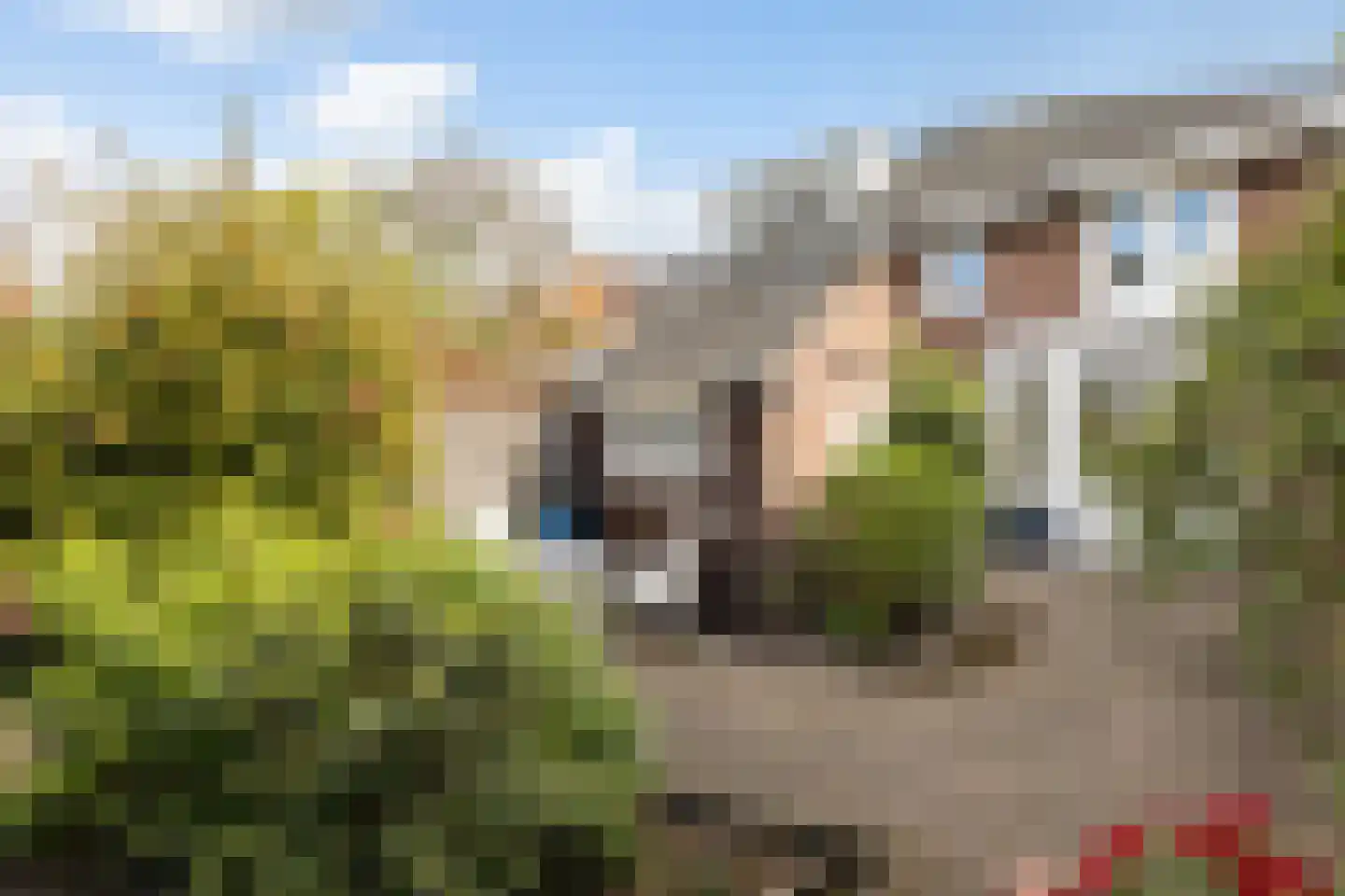 Constantijn Huygenslaan 9 Zeist thumbnail 23