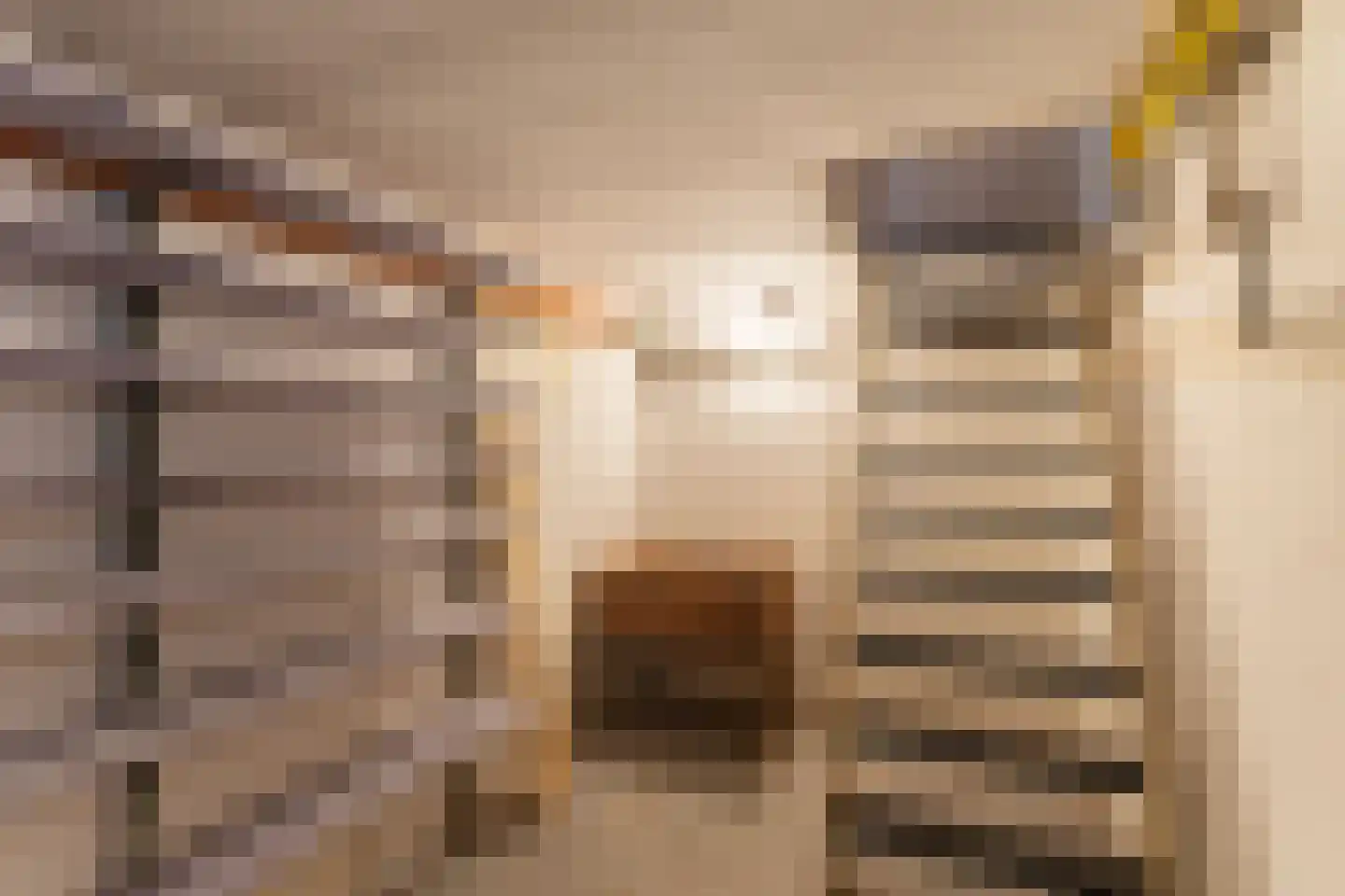 Constantijn Huygenslaan 9 Zeist thumbnail 38
