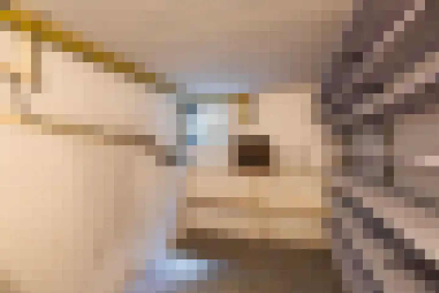 Constantijn Huygenslaan 9 Zeist thumbnail 39