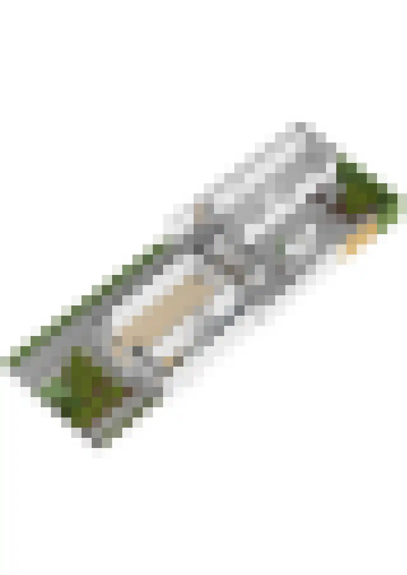 Constantijn Huygenslaan 9 Zeist thumbnail 64