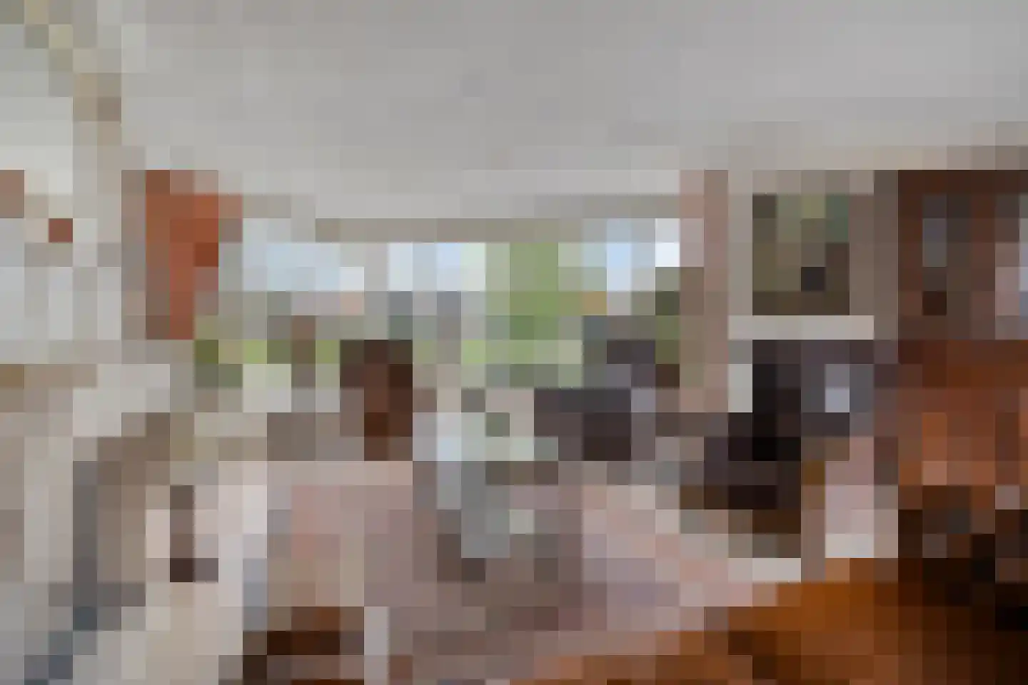 Constantijn Huygensplein 19 Hoeven thumbnail 11