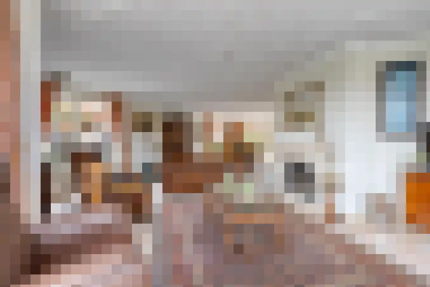 Constantijn Huygensplein 19 Hoeven thumbnail 14