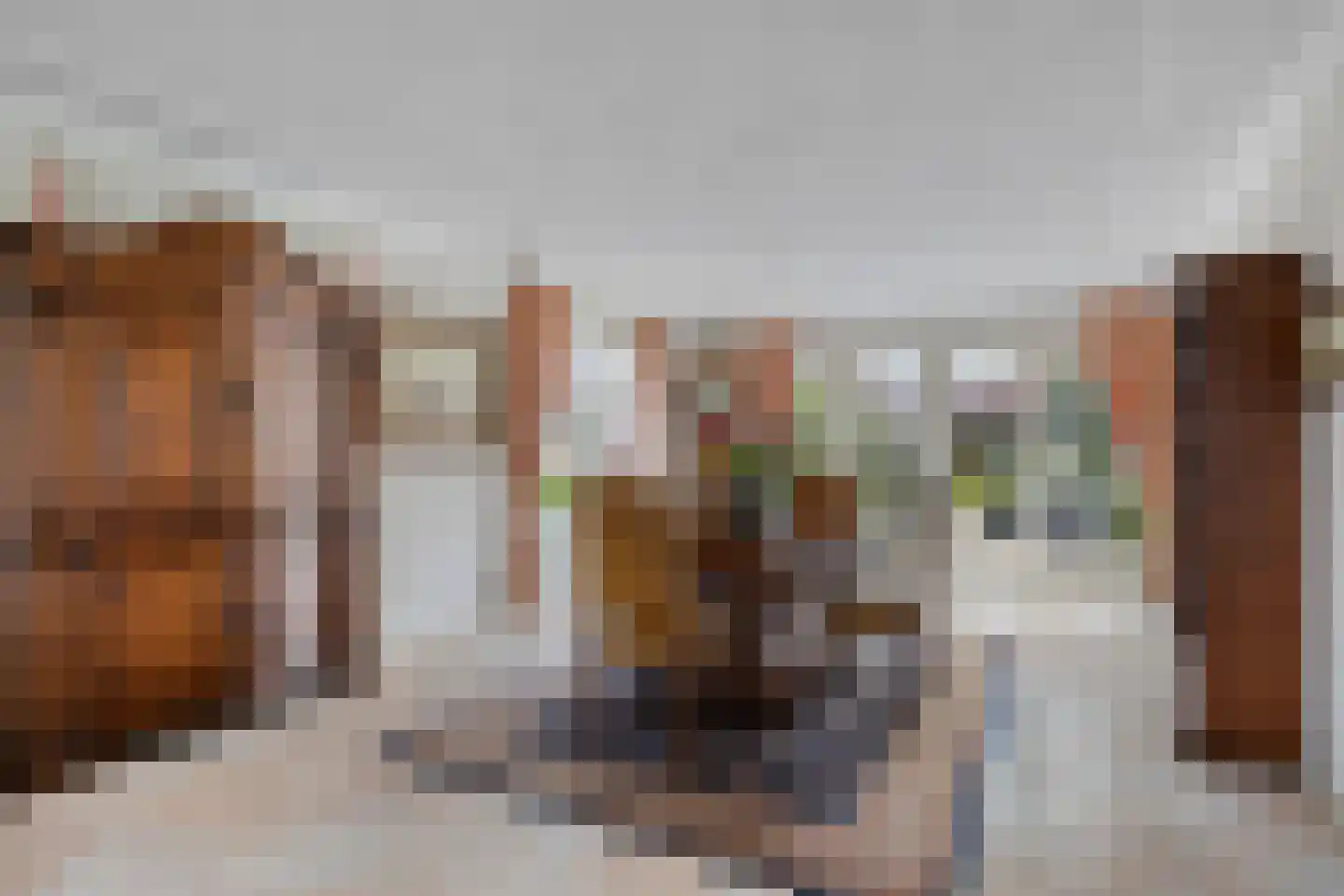 Constantijn Huygensplein 19 Hoeven thumbnail 15
