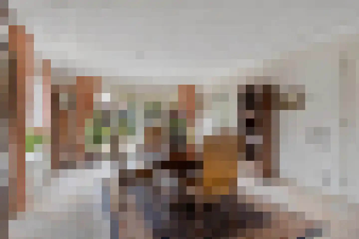 Constantijn Huygensplein 19 Hoeven thumbnail 16