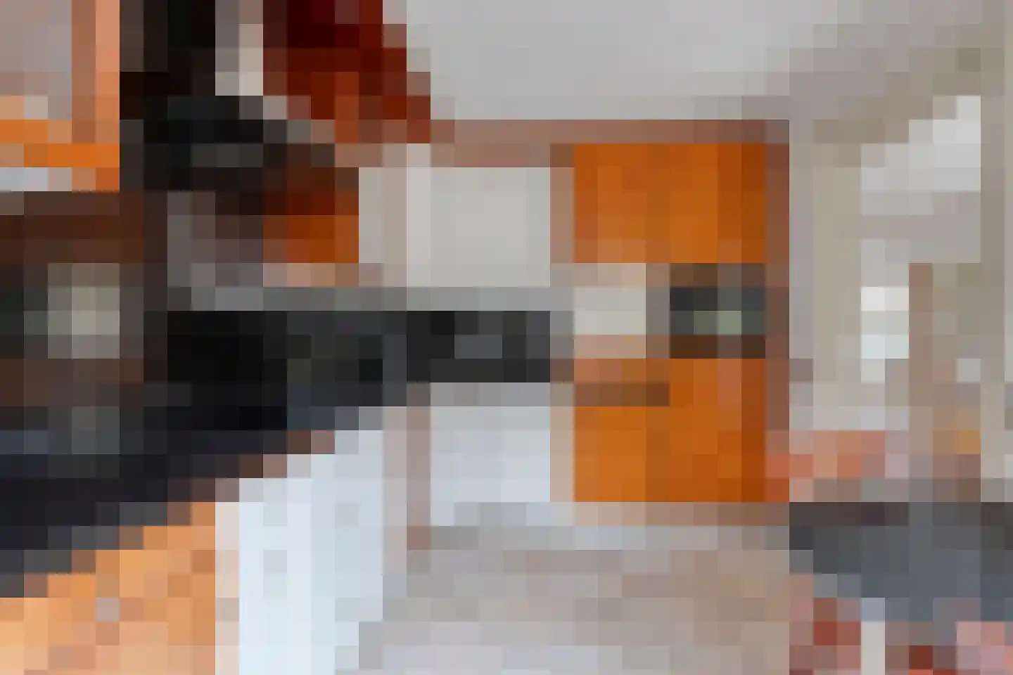 Constantijn Huygensplein 19 Hoeven thumbnail 19