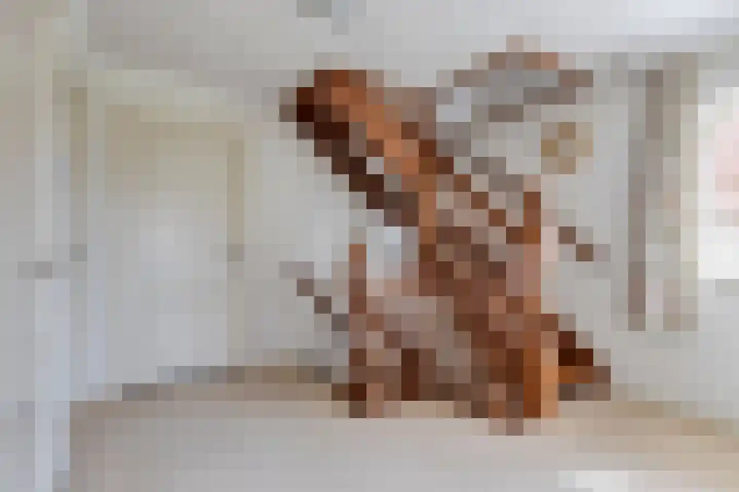 Constantijn Huygensplein 19 Hoeven thumbnail 27
