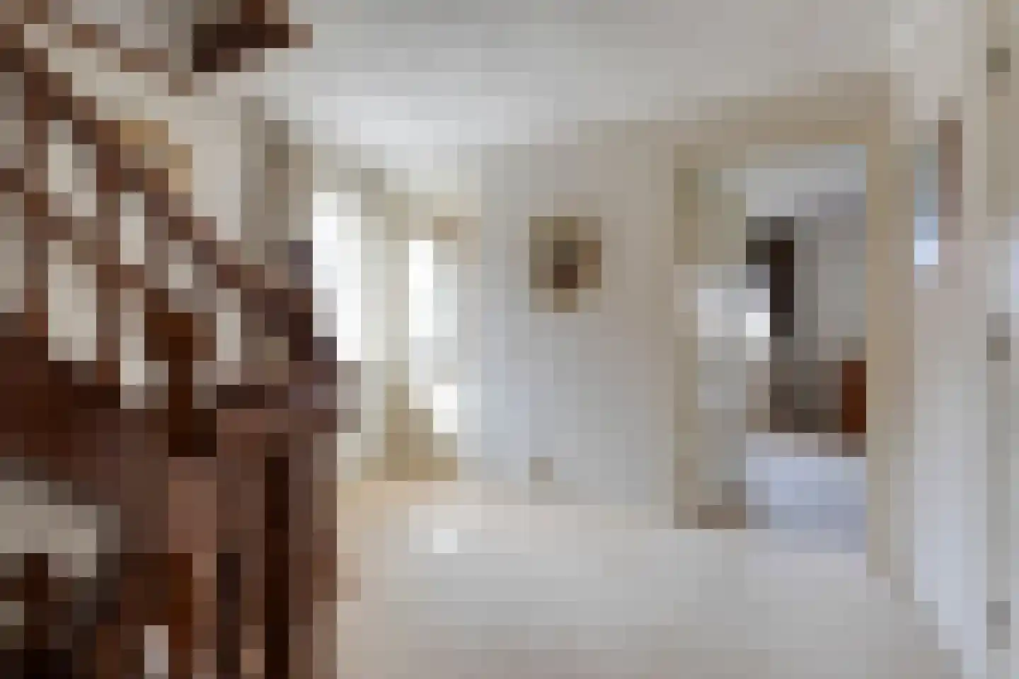 Constantijn Huygensplein 19 Hoeven thumbnail 28