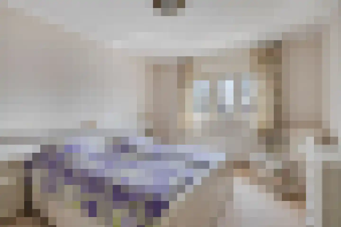 Constantijn Huygensplein 19 Hoeven thumbnail 33