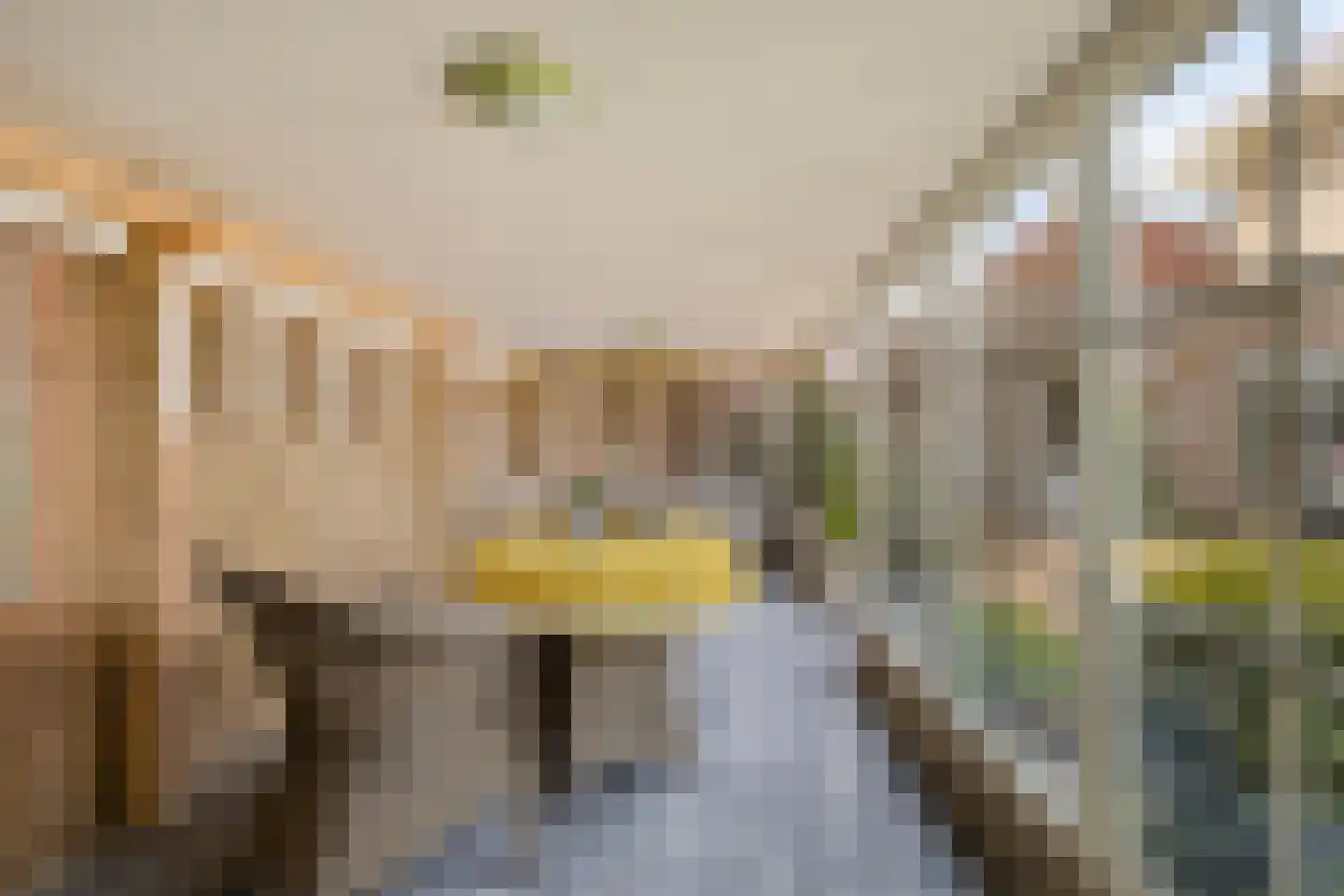Constantijn Huygensplein 19 Hoeven thumbnail 43