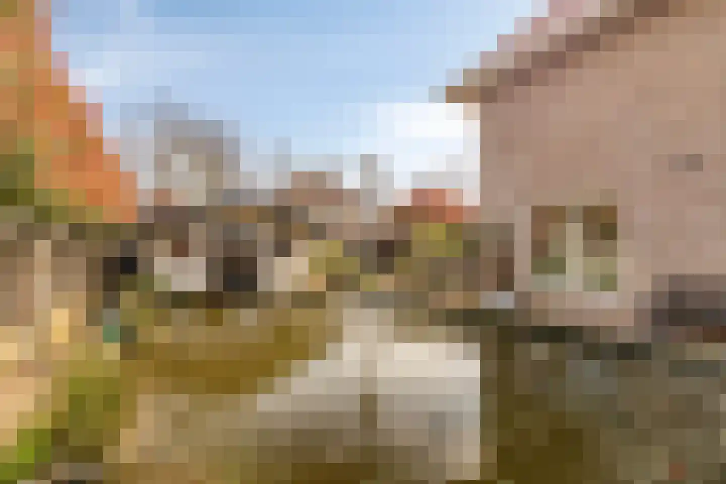 Constantijn Huygensplein 19 Hoeven thumbnail 47