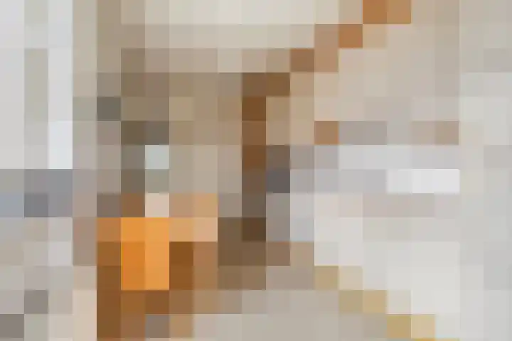 Constantijn Huygensstraat 10 Barneveld thumbnail 13