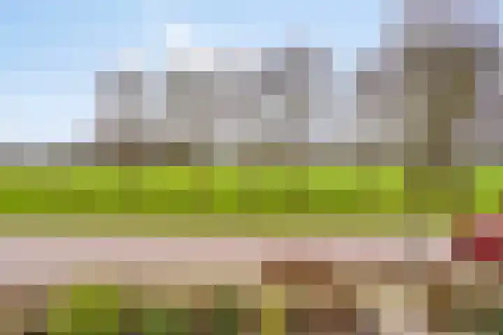 Constantijn Huygensstraat 10 Barneveld thumbnail 18