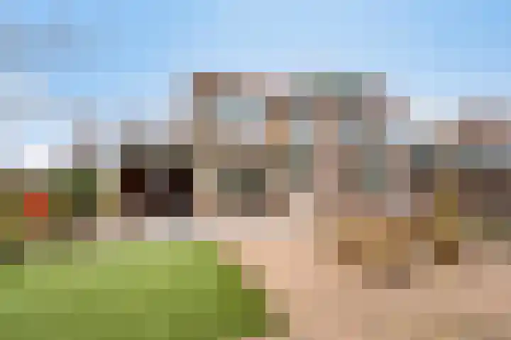 Constantijn Huygensstraat 10 Barneveld thumbnail 31