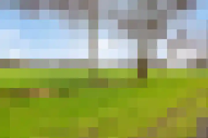 Constantijn Huygensstraat 10 Barneveld thumbnail 35