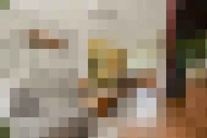 Constantijn Huygensstraat 107 Gouda thumbnail 8