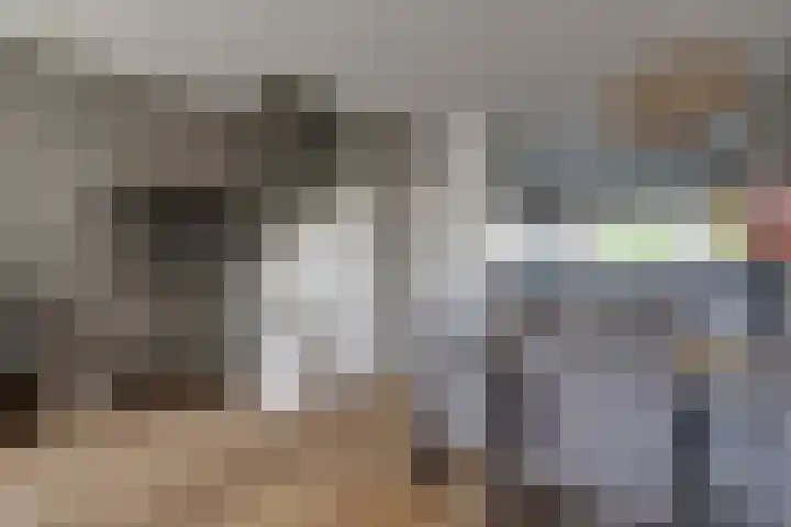 Constantijn Huygensstraat 109 Gouda thumbnail 8