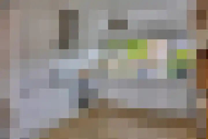 Constantijn Huygensstraat 111 Gouda thumbnail 7