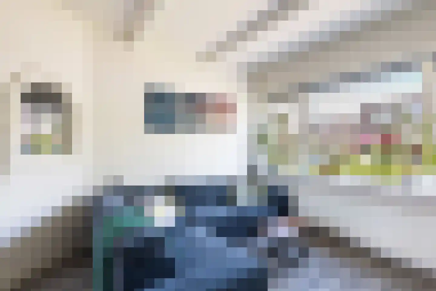 Constantijn Huygensstraat 117 Gouda thumbnail 11