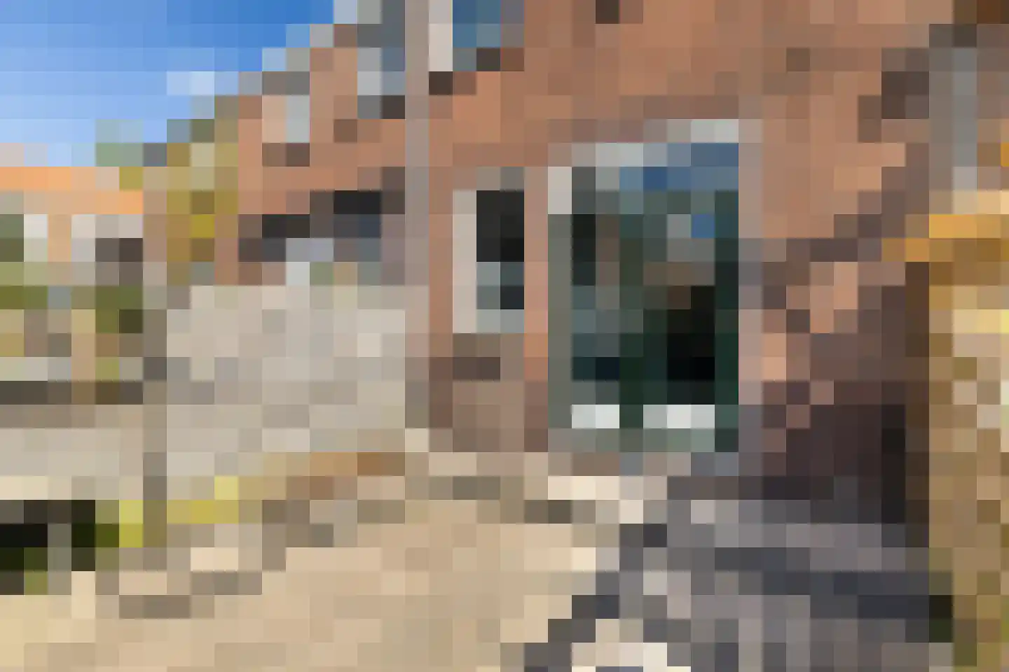 Constantijn Huygensstraat 117 Gouda thumbnail 32