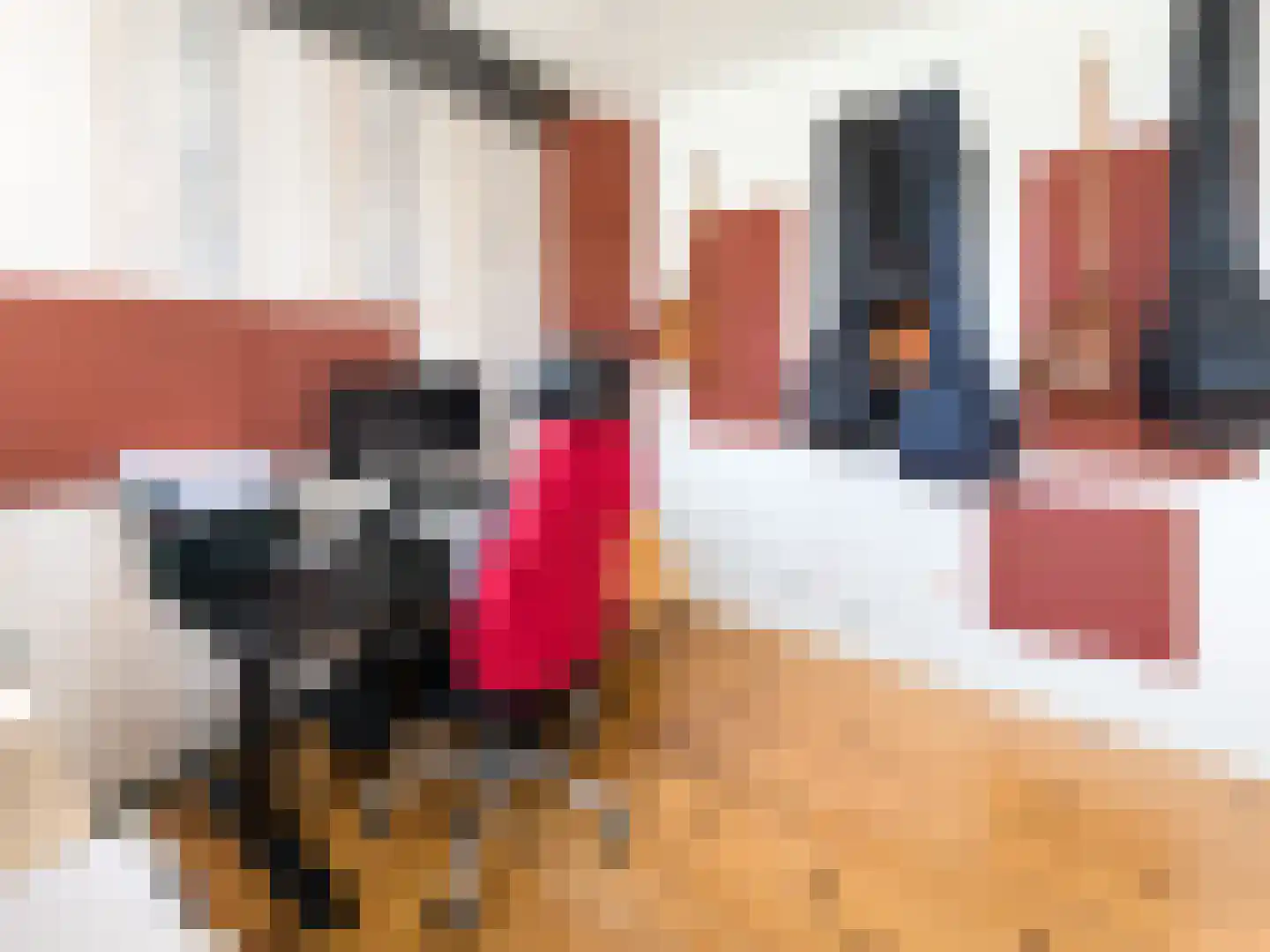 Constantijn Huygensstraat 17 Capelle aan den IJssel thumbnail 20