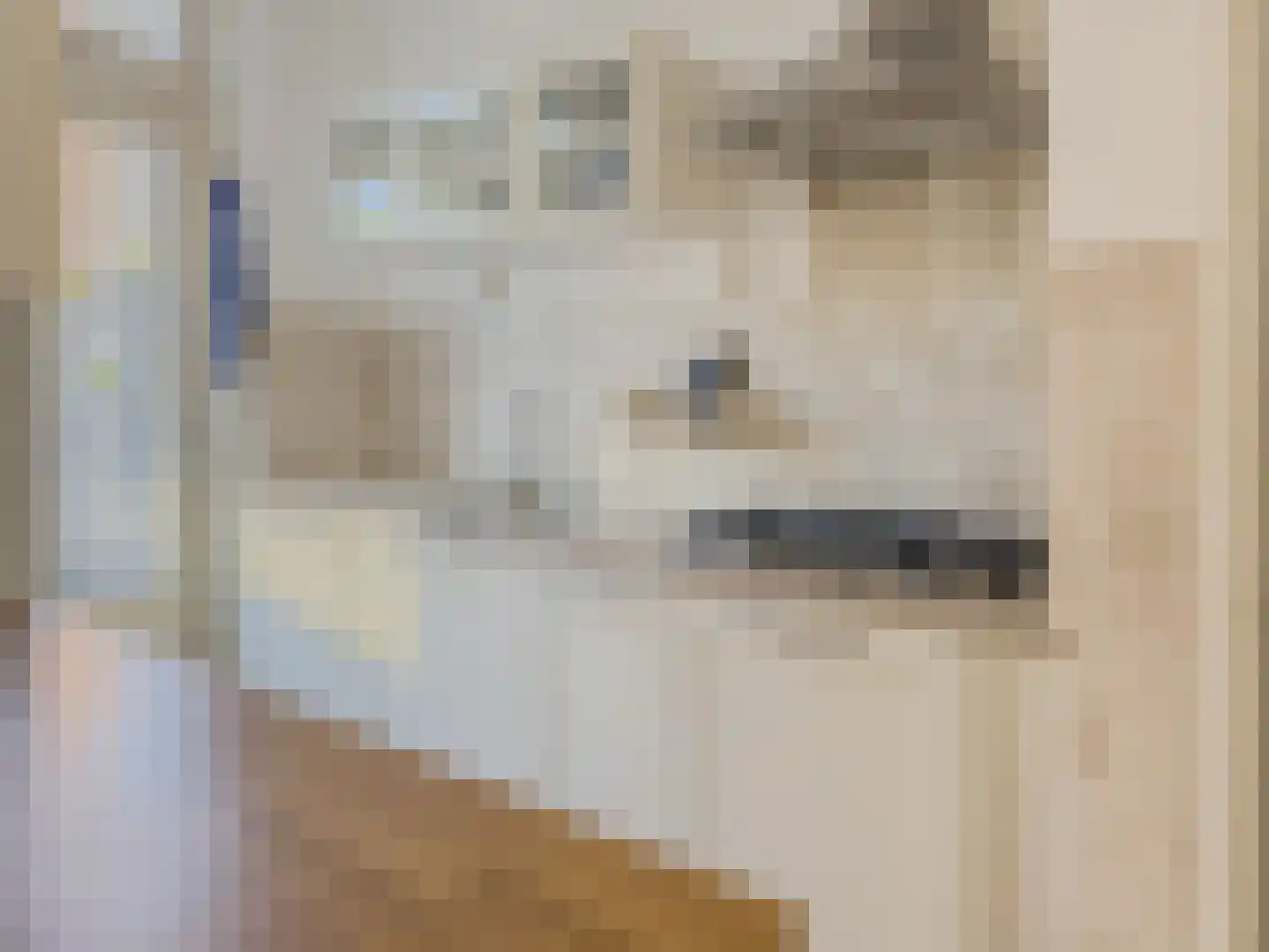 Constantijn Huygensstraat 17 Capelle aan den IJssel thumbnail 8