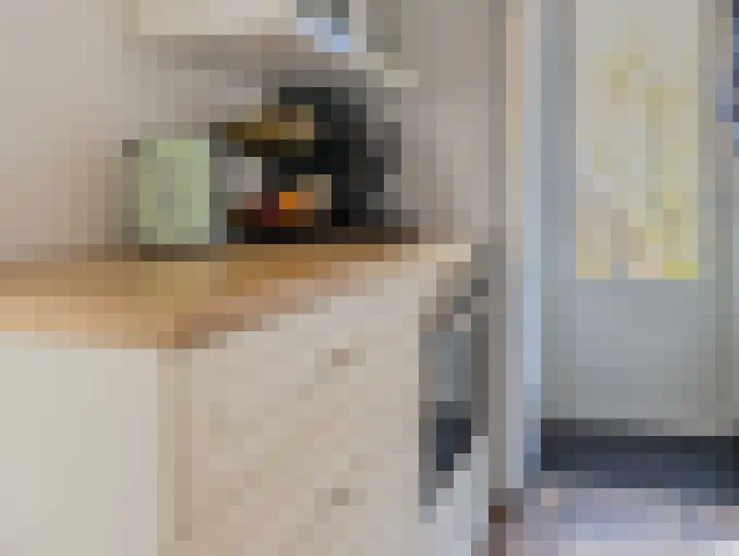 Constantijn Huygensstraat 17 Capelle aan den IJssel thumbnail 9