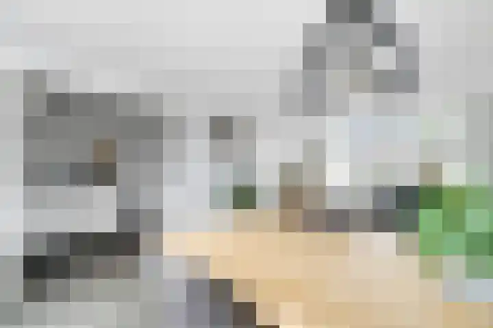 Constantijn Huygensstraat 21 Nijverdal thumbnail 6