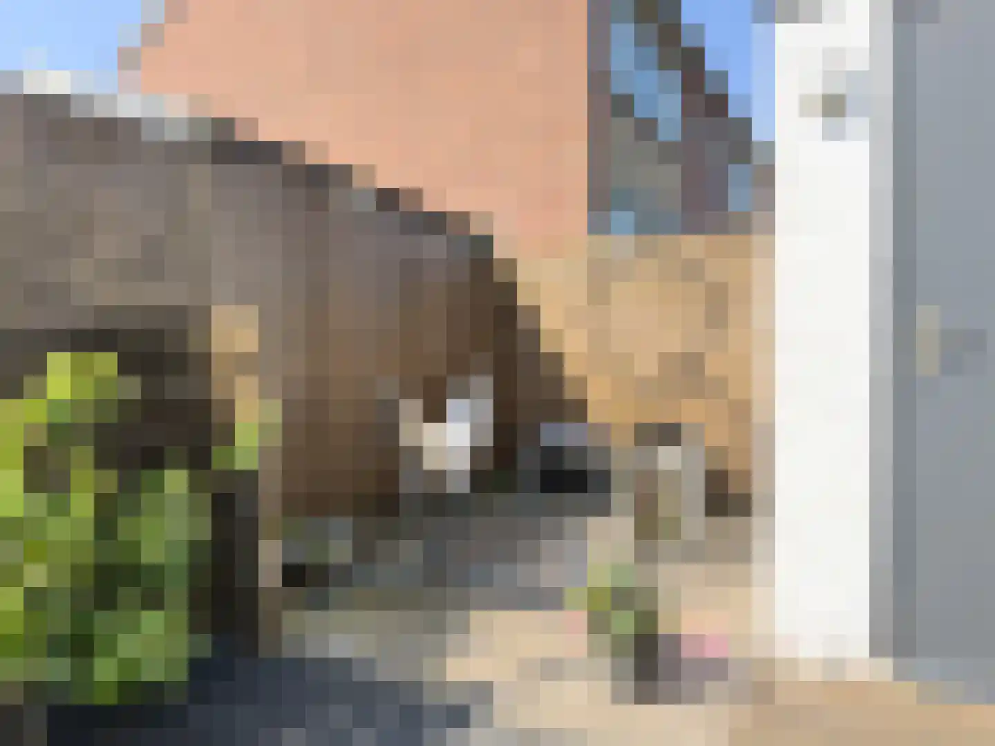 Constantijn Huygensstraat 22 Capelle aan den IJssel thumbnail 13