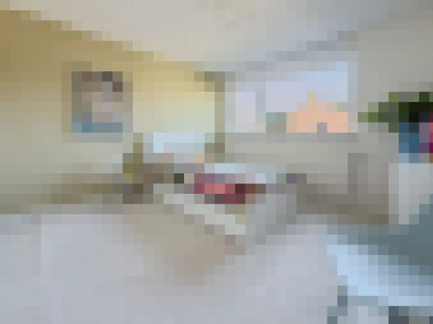 Constantijn Huygensstraat 22 Capelle aan den IJssel thumbnail 20