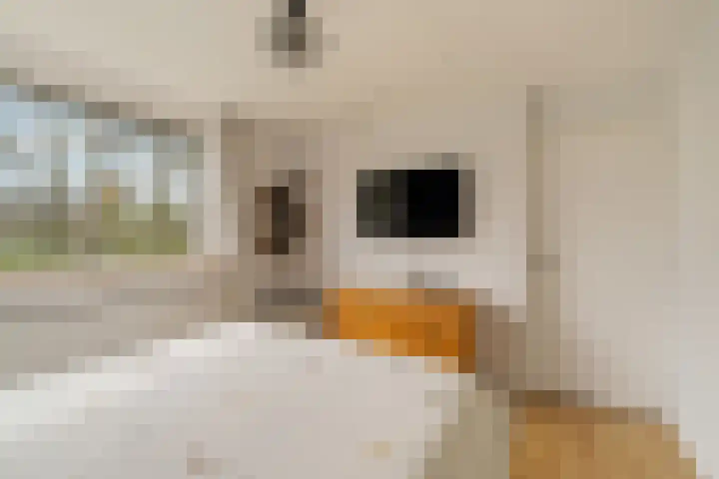 Constantijn Huygensstraat 3 Capelle aan den IJssel thumbnail 15