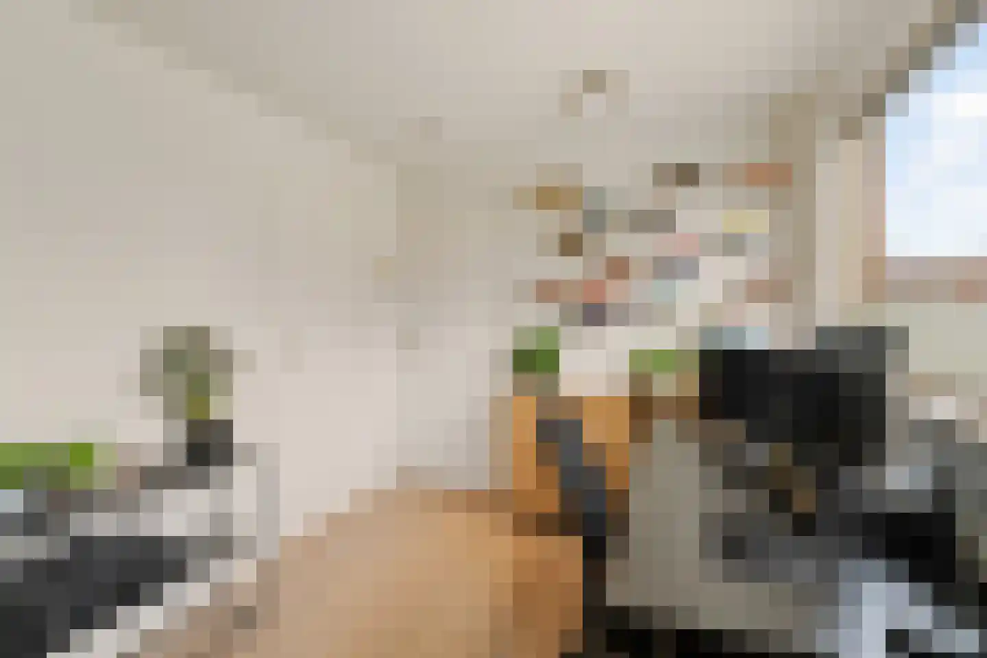 Constantijn Huygensstraat 3 Capelle aan den IJssel thumbnail 18