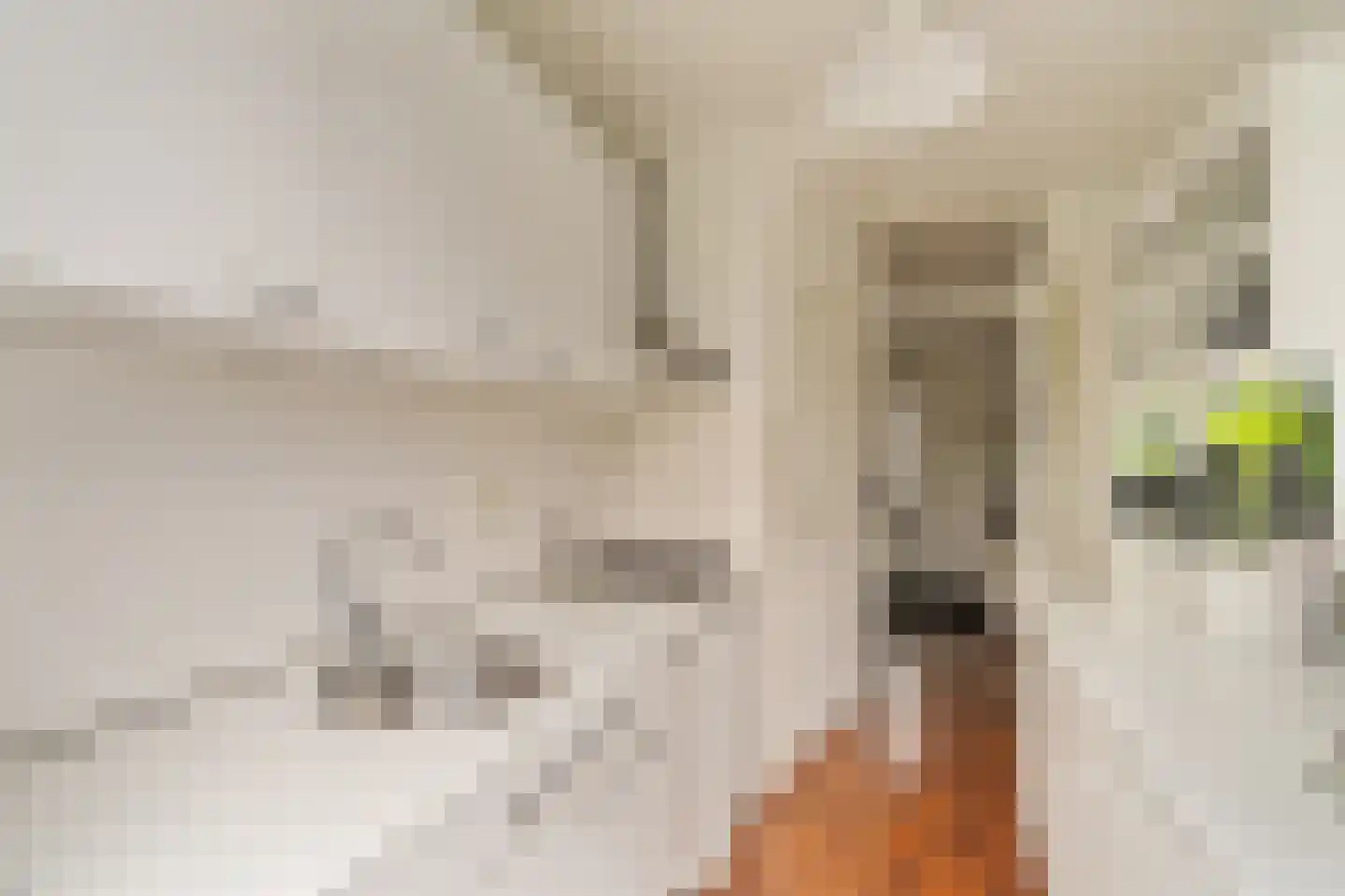 Constantijn Huygensstraat 3 Capelle aan den IJssel thumbnail 6