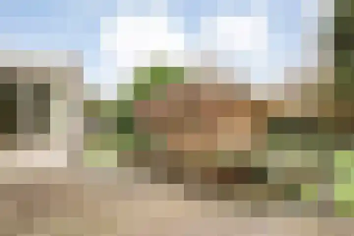 Constantijn Huygensstraat 32 Nijverdal thumbnail 35