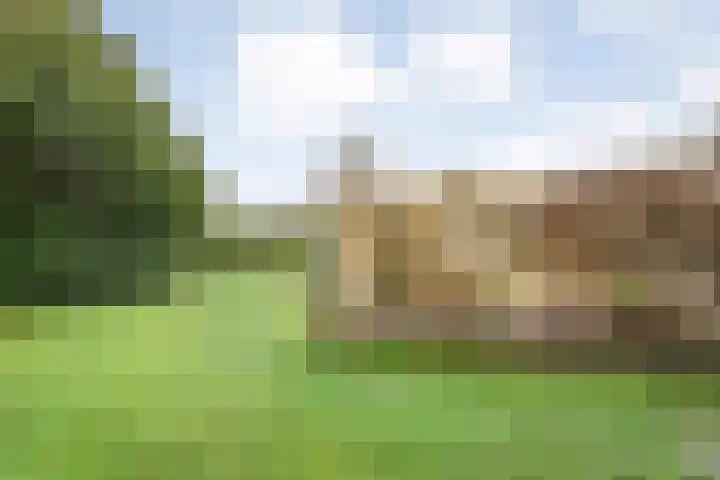 Constantijn Huygensstraat 32 Nijverdal thumbnail 38