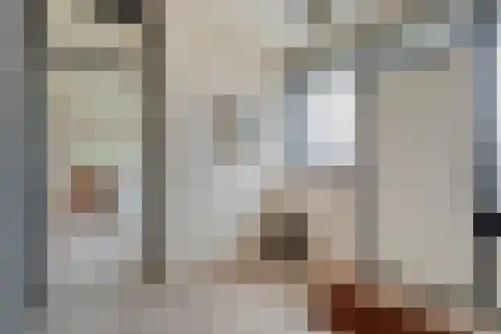 Constantijn Huygensstraat 32 Nijverdal thumbnail 7