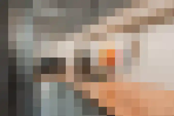 Constantijn Huygensstraat 34 ZW Haarlem thumbnail 16