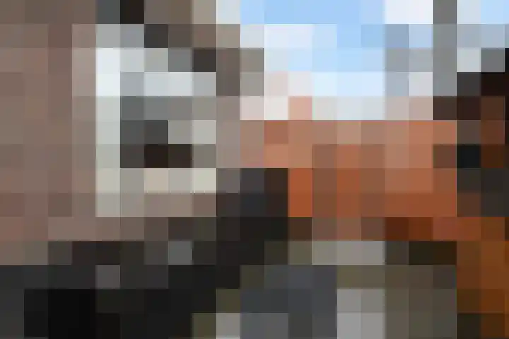 Constantijn Huygensstraat 39 Gouda thumbnail 31