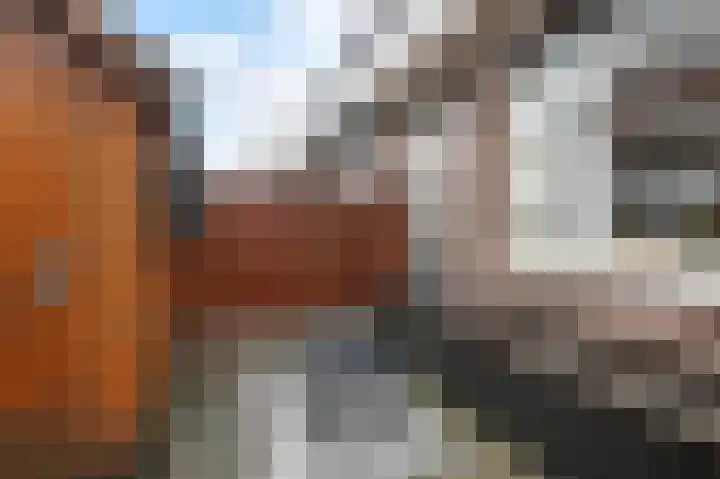 Constantijn Huygensstraat 39 Gouda thumbnail 33