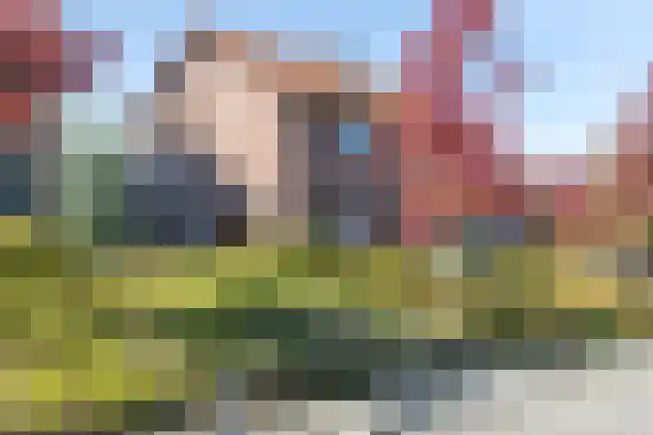 Constantijn Huygensstraat 4 Brunssum thumbnail 35