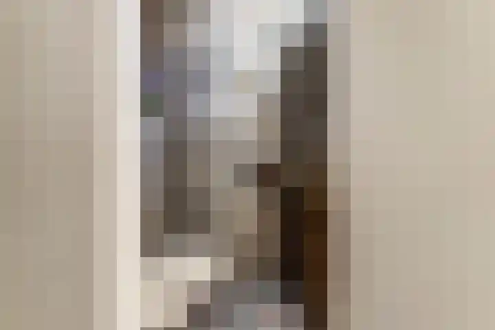 Constantijn Huygensstraat 4 Kesteren thumbnail 13