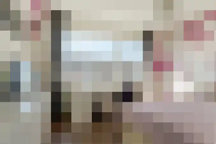Constantijn Huygensstraat 4 Kesteren thumbnail 18