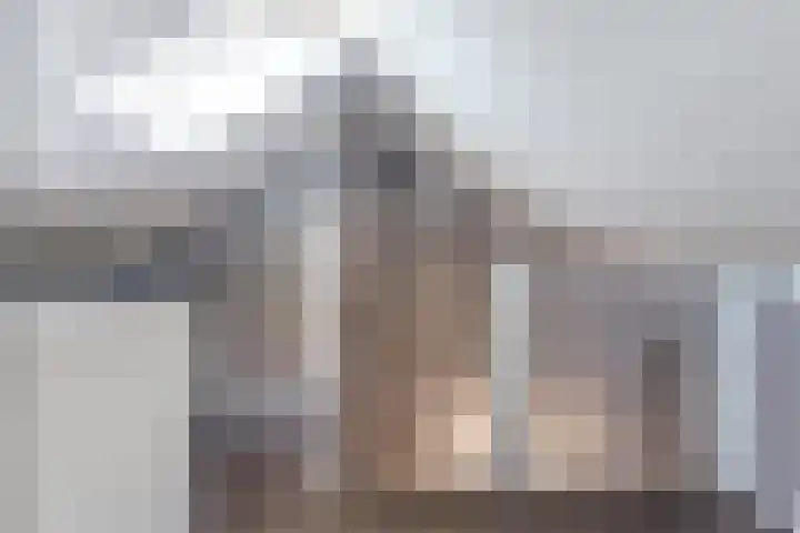 Constantijn Huygensstraat 4 Kesteren thumbnail 26